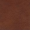Texas Chestnut