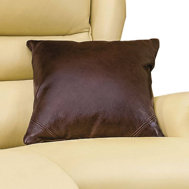 Sherborne  Leather Scatter Cushion